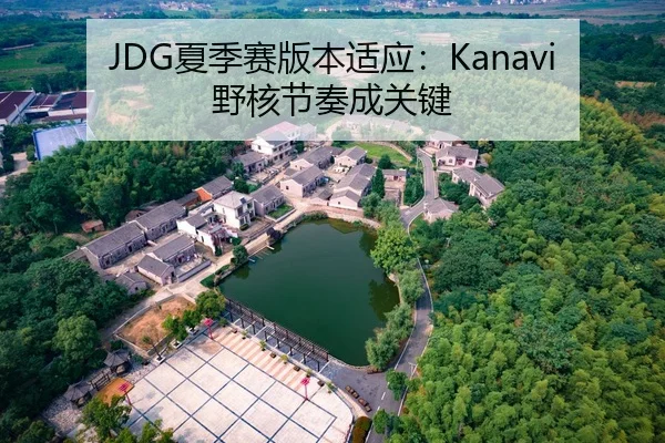 JDG夏季赛版本适应：Kanavi野核节奏成关键