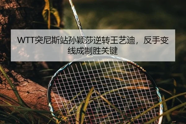 tu-ni-si-zhan-sun-ying-sha-ni-zhuan-wang-yi-di-fan-shou-bian-xian-cheng-zhi-sheng-guan-jian-2-233.jpg