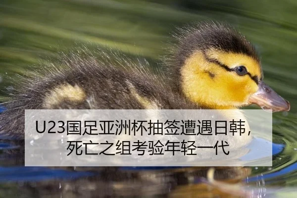 guo-zu-ya-zhou-bei-chou-qian-zao-yu-ri-han-si-wang-zhi-zu-kao-yan-nian-qing-yi-dai-2-422.jpg