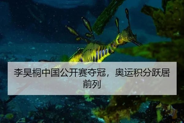 李昊桐中国公开赛夺冠，奥运积分跃居前列