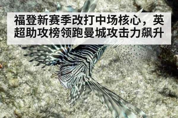 福登新赛季改打中场核心，英超助攻榜领跑曼城攻击力飙升